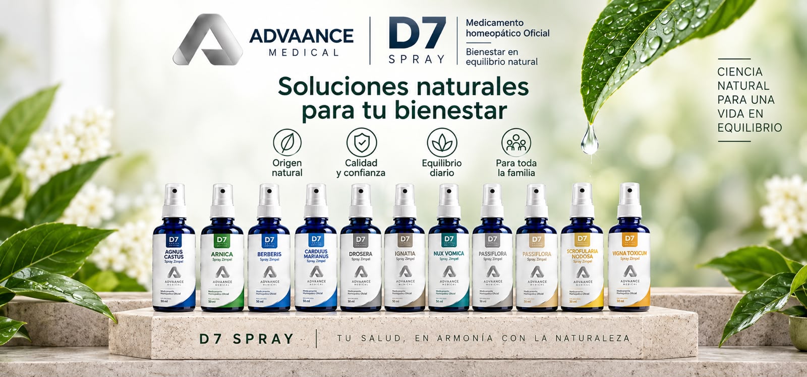 Promoción